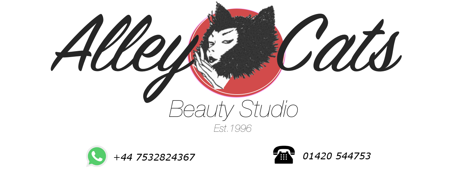 Homepage Alley Cats Beauty Studio